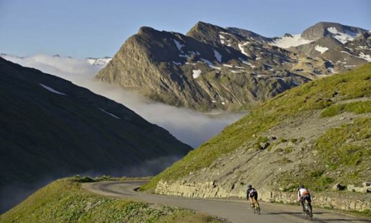 tartan properties resilience